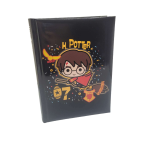 DIARIO NON DATATO 10 MESI HARRY POTTER 