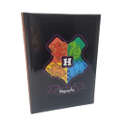 DIARIO NON DATATO 10 MESI HARRY POTTER 