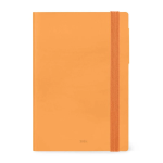 AGENDA 12 MESI LEGAMI TINTA UNITA 2025 - APRICOT CRUSH
