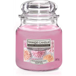 YANKEE CANDLE- GIARA MEDIA