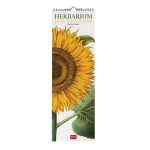 CALENDARIO DA PARETE 2026 LEGAMI - 16X49 CM