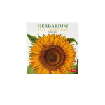 CALENDARIO DA PARETE 2026 LEGAMI - 18X18 CM