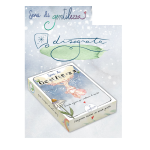 CARTE SEMI DI GENTILEZZA DISEGNATA  - 48 PICCOLE AZIONI PER CAMBIARE IL MONDO