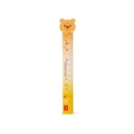 RIGHELLO IN PLASTICA LEGAMI 15 CM 