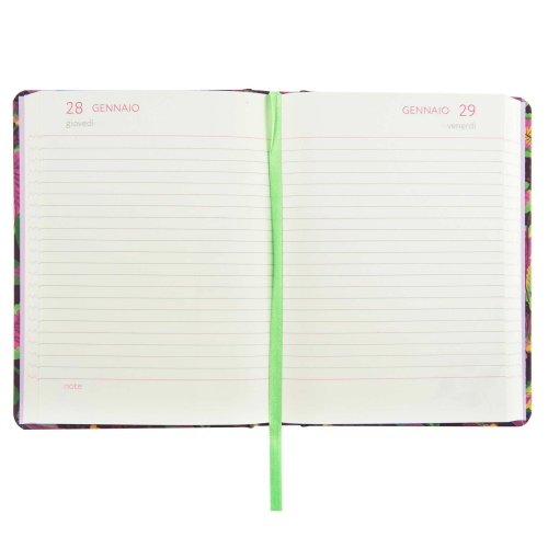 AGENDA DIARIO 13 MESI TURNOWSKY CARTONATA 2026/2027