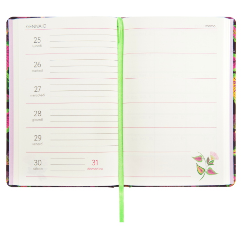 AGENDA DIARIO 13 MESI TURNOWSKY CARTONATA 2026/2027