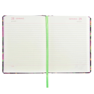 AGENDA DIARIO 13 MESI TURNOWSKY CARTONATA 2026/2027