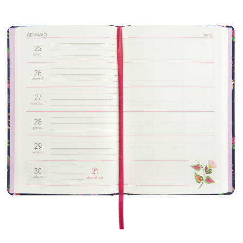 AGENDA DIARIO 13 MESI TURNOWSKY CARTONATA 2026/2027