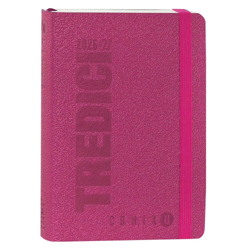 AGENDA GIORNALIERA COMIX TREDICI 2026/2027 13 MESI 