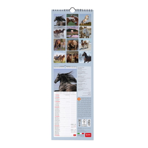 CALENDARIO DA PARETE 2027 LEGAMI - 16X49 CM