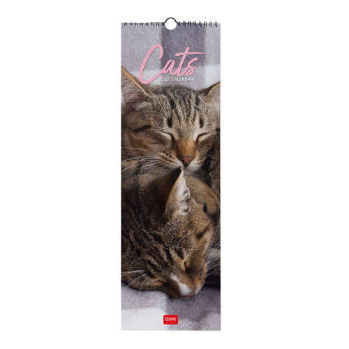 CALENDARIO DA PARETE 2027 LEGAMI - 16X49 CM