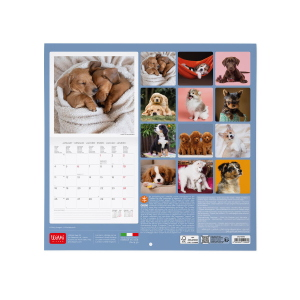 CALENDARIO DA PARETE 2027 LEGAMI - 30X29 CM
