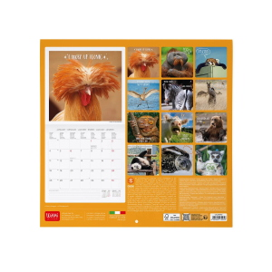 CALENDARIO DA PARETE 2027 LEGAMI - 30X29 CM