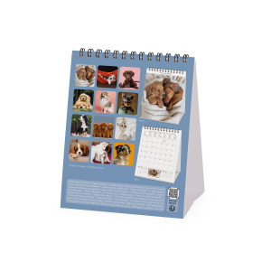CALENDARIO DA TAVOLO 2027 LEGAMI - 12X14,5 CM 