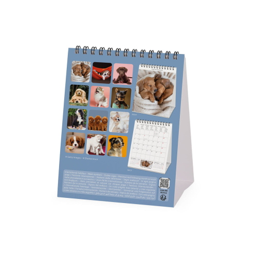 CALENDARIO DA TAVOLO 2027 LEGAMI - 12X14,5 CM 