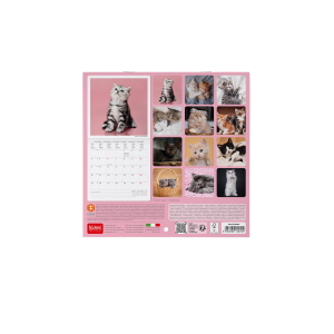 CALENDARIO DA PARETE 2027 LEGAMI - 18X18 CM