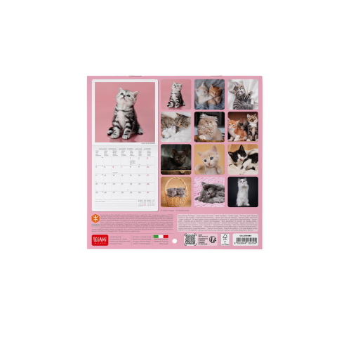 CALENDARIO DA PARETE 2027 LEGAMI - 18X18 CM