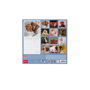 CALENDARIO DA PARETE 2027 LEGAMI - 18X18 CM