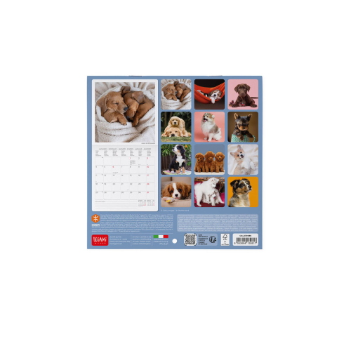 CALENDARIO DA PARETE 2027 LEGAMI - 18X18 CM