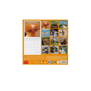 CALENDARIO DA PARETE 2027 LEGAMI - 18X18 CM