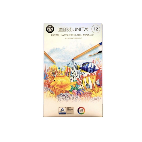PASTELLI ACQUERELLABILI TINTA UNITA CON PENNELLO - CONF 12 COLORI