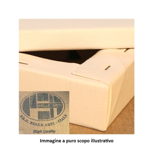 TELA PITTURA 50x50 LINEA BASIC EXTRA FINE