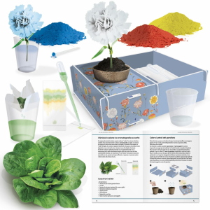 LA MIA BOTANICA CREATIVA - HEADU 6-10