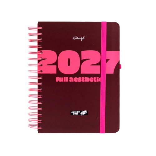 AGENDA 2027 MR WONDERFUL