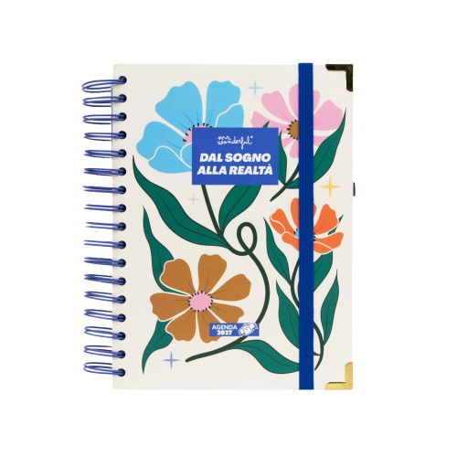 AGENDA 2027 MR WONDERFUL