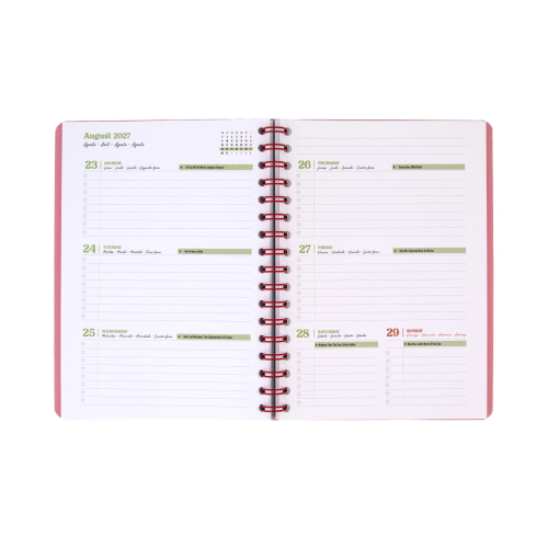 AGENDA BASIC 2027 MR WONDERFUL- OH LA LA 