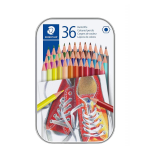 SCATOLA DI METALLO CON 36 MATITE COLORATE 